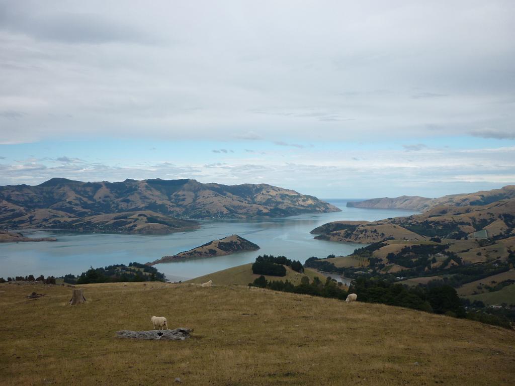 New_Zealand (654).JPG